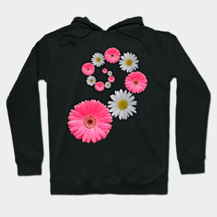 pink flowers daisies bloom floral blooming daisy Hoodie